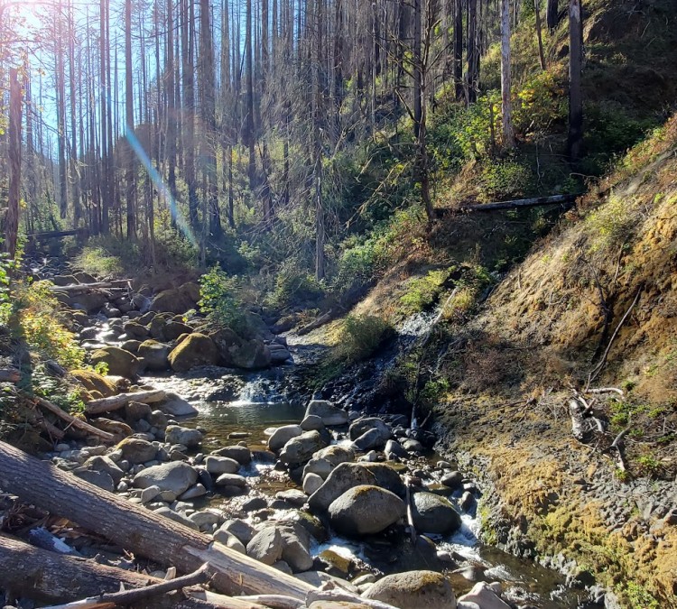 Mark O. Hatfield Wilderness (Cascade&nbspLocks,&nbspOR)